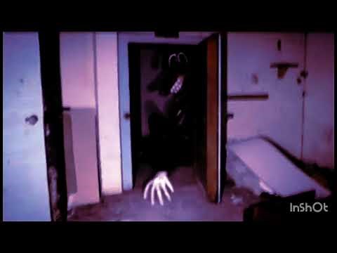 cartoon dog theme song (echo reverb)