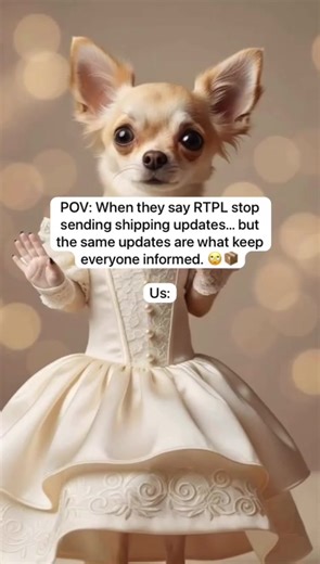 🤣 If we don’t share updates, how will you know our shipping dates? We are a logistics company updates are part of our number one rule! 📦✈️🚢 So here is the latest 👇 ❄️ FROZEN FOOD SHIPMENT UPDATE Our next frozen food schedules are: 🇨🇦 CANADA • Calgary – Monday, March 9 • Toronto – March 10 🇺🇸 USA • Thursday, March 12 📦 DRY (GENERAL CARGO) 🇺🇸 USA: March 6 (Airport drop-off date) 🚢 SEA CARGO Collections are still ongoing. We need 7 more pallets to complete the container. ✅ Please tell a