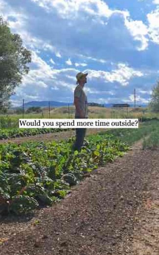 7 steps to transform your backyard into a thriving farm