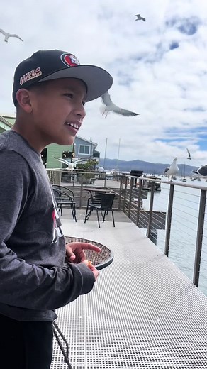 Bird Feeding Fails: A Mom's Beach Trip Adventure