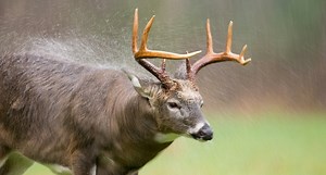 The Best Camo Rain Gear This Hunting Season