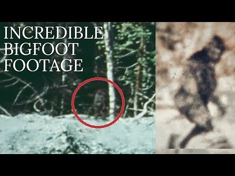 The Most IMPRESSIVE BIGFOOT FOOTAGE Ever Recorded | Sasquatch Caught on Camera | MBM 81.