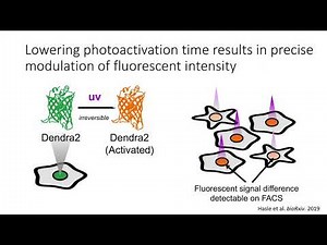 Deep Mutational Scanning with Visual Phenotypes, Nick Hasle