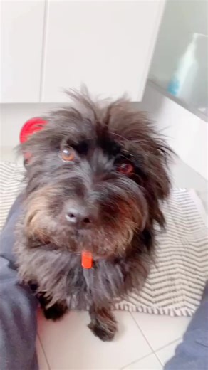 Preeti (@preeto_34)’s videos with original sound - joshegbo