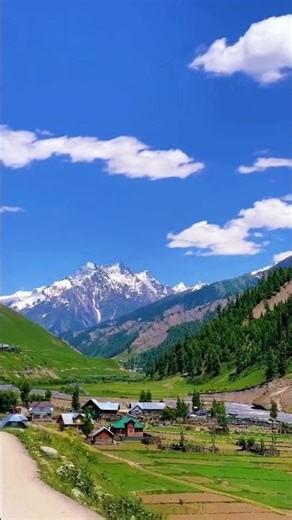 Kashmir the heven of earth 🌎🌍 #nature #kashmir #kashmirbeauty #2k25 #earth