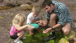 Teletubbies S01:E23 - Rock Pool Animals 3