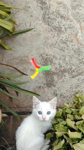 Shocking Cat (AI-Generated)