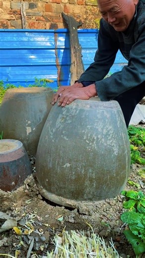 Garlic Leaf Growing Method Using a Closed Jar Media without Light