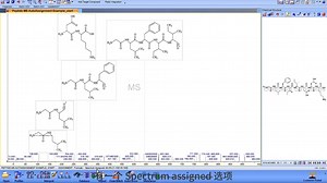 MS Fragmenter肽段碎片归属演示