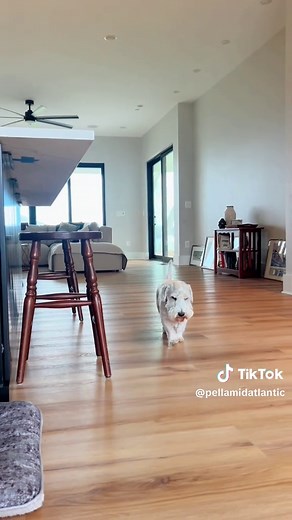 Project Spotlight: Waterfront living at its finest! 🌊✨ This stunning bayfront home features Impervia® windows and Lifestyle Series Quad Sliding Doors, creating seamless transitions between indoor comfort and breathtaking outdoor views. 🌅 Designed to let the beauty of the water shine through. 🦀 #WaterfrontLiving #BayViews #PellaWindowsAndDoors #fy #homeimprovement #homedesign #pellamidatlantic