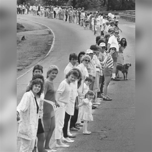 "May 25, 1986 — the day millions of strangers reached out… and held on. From New York to California, across highways, farmlands, cities and deserts, over 6.6 million people formed a living chain — one hand at a time. 🗽➡️🌊 (Full information 💬👇)" | Plum Purdy