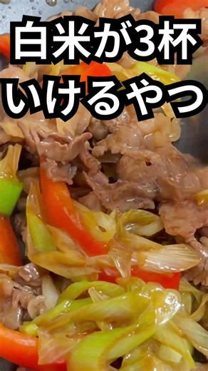 牛肉と長ねぎの甘辛炒め