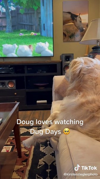Doug's Delight: Dug Days Compilation | Disney Pixar Golden Retriever Fun