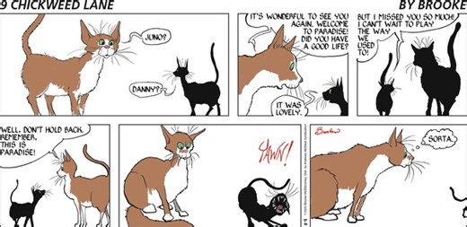 9 Chickweed Lane for 2/1/2026