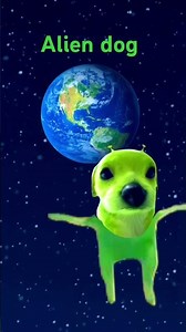 alien dog