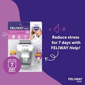 Most cats don't cope well with change. FELIWAY® Help! helps them to cope, may help reduce signs of stress such as scratching, urine spraying, and hiding. Get yours today: https://bit.ly/3WqlJDb | FELIWAY