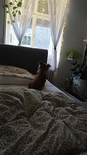 Helene (@maria.hockl3)’s videos with sunet original - CyberDreams