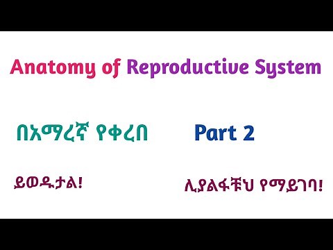 Anatomy of Reproductive System, Part 2, Helpful Video Lecture with Amharic Speech
