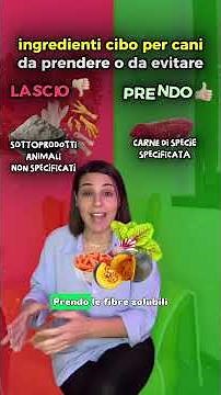 come devono essere le crocchette per cani? #amiciaquattrozampe #cane #cani
