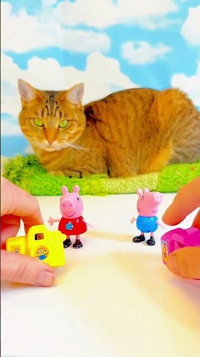 Peppa Pig Toys Mini Cameras Photos! #peppapigtoys #minitoys #toycamera