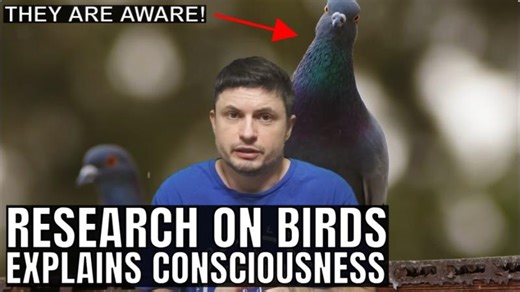 Why Did Consciousness Evolve? Exciting Research on Bird Brains | Tyler Alexander Polk
