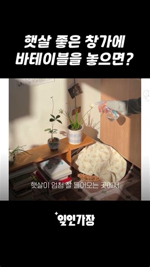 If there's a bar table by the window, our house is just a cafe.