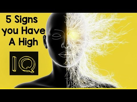 5 Signs You Have A High IQ