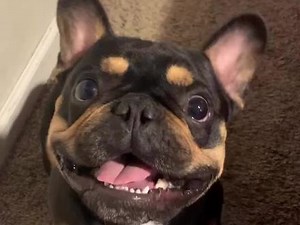 7185084076313808128
