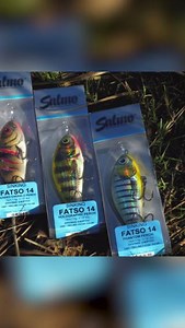 LIMITED EDITION FATSO 14 COLOURS 😍👀🎣 🎣 Four limited edition Fatso 14 colours: Holo Perch, Phantom Perch, Mat Tiger and Wounded Emerald Perch 🎣 Available in both sinking and floating versions | Salmo