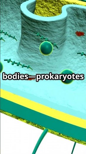 “The Simplicity of Complexity: Understanding Prokaryotic Life”