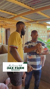 89K views · 1.2K reactions | Our teaching goes beyond the basics, providing comprehensive knowledge to elevate your expertise…. When you think of JAX FAFM, think of EXCELLENCE and QUALITY #jaxfarm #pigfarming #livestockfarming | Jax Farm | Facebook