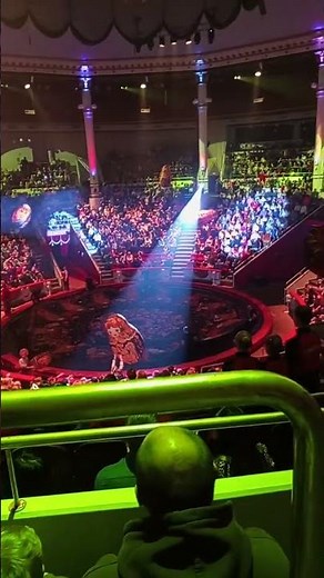 circus, Nikulin circus Moscow