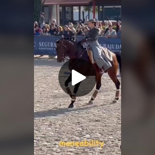 Lusitano Working Equitation Videos | Elegant Horseshow Highlights