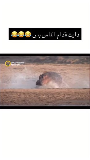 1.1M views · 1.7K reactions |  #documentary_aldaheka #nationalgeographic #alaaghannam #voiceover | Documentary Aldaheka | Facebook