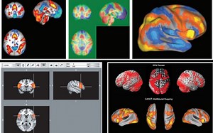 fMRI_visualization plot_GuochunYang