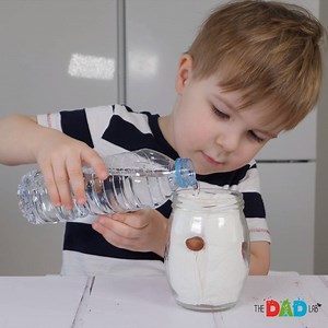 922K views · 2.2K reactions | Here is a simple way to grow beans in a jar with kitchen paper towels. We love activities that involve growing plants. Results in those are usually noticeable only a few days later. So the process requires a lot of waiting and taking care of plants. #TheDadLab | TheDadLab | Facebook