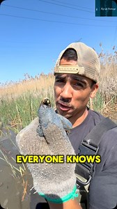 The only carpenter you need #lifeinsurancesavesthebay #baylife | Bay Life Brokerage