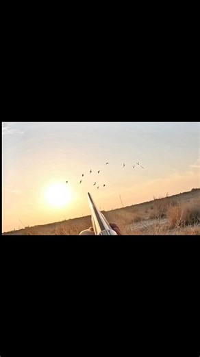 Nature meets adventure in this duck hunt. #duckhunting #hunting #huntingvideo