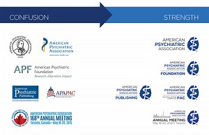 Case Study: APA Rebrand - Shelley Noeldechen