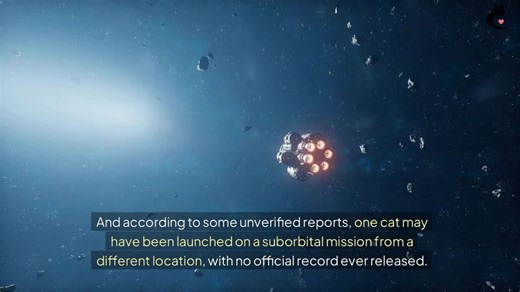 Did This Feline Really Go to Space Before the World Knew?