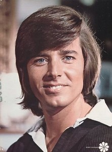 Bobby Sherman - TV Tropes
