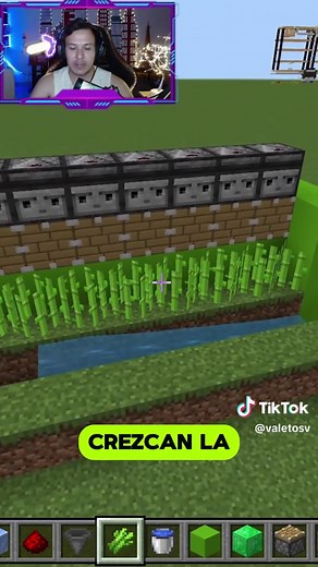 Granja Simple de Caña de Azúcar en Minecraft