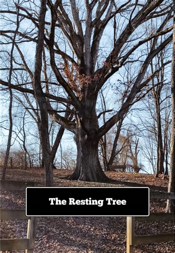 Historical Significance of Enslaved Burials in Appalachia