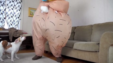 Dogs vs. Creepy Monster Prank—Their Reactions Say It All