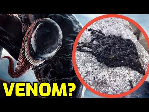 The REAL Venom Symbiote Explained