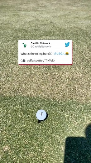 Beetle Pushes Golf Ball: Rules and Reactions