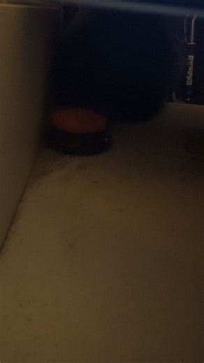 ✨Smart girl Willow learned how to use her “Hello” button! 🐩💬 Even when I tried hiding it under the table, she still found it and kept pressing away. 😂💜#ritzpoodles #dogsoftiktok #poodleobsession #trickdogsoftiktok #poodlesoftiktok