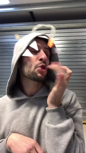 The Story of Jonah and the Whale