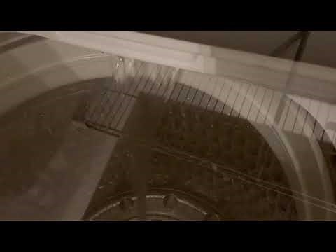 Samsung Washer Sounds