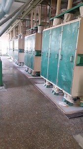 Flour mills Complete proces Wheat to Flour